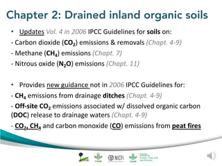 Peat emission factors: Navigating the IPCC wetland supplement
