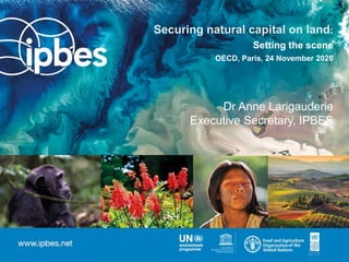 Securing natural capital on land:
Setting the scene
OECD, Paris, 24 November 2020
Dr Anne Larigauderie
Executive Secretary, IPBES
 