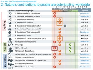 The IPBES Global Assessment showed that:
2- Nature’s contributions to people are deteriorating worldwideregulatingmaterialNon-material
 
