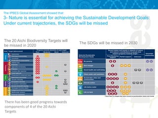 The 20 Aichi Biodiversity Targets will
be missed in 2020
There has been good progress towards
components of 4 of the 20 Aichi
Targets
The SDGs will be missed in 2030
The IPBES Global Assessment showed that:
3- Nature is essential for achieving the Sustainable Development Goals:
Under current trajectories, the SDGs will be missed
 