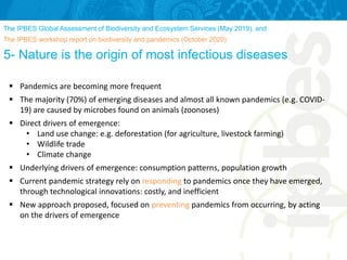 The IPBES Global Assessment of Biodiversity and Ecosystem Services (May 2019), and
The IPBES workshop report on biodiversity and pandemics (October 2020)
5- Nature is the origin of most infectious diseases
 Pandemics are becoming more frequent
 The majority (70%) of emerging diseases and almost all known pandemics (e.g. COVID-
19) are caused by microbes found on animals (zoonoses)
 Direct drivers of emergence:
• Land use change: e.g. deforestation (for agriculture, livestock farming)
• Wildlife trade
• Climate change
 Underlying drivers of emergence: consumption patterns, population growth
 Current pandemic strategy rely on responding to pandemics once they have emerged,
through technological innovations: costly, and inefficient
 New approach proposed, focused on preventing pandemics from occurring, by acting
on the drivers of emergence
 
