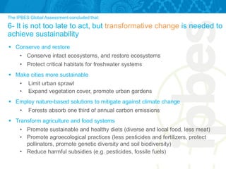 The IPBES Global Assessment concluded that:
6- It is not too late to act, but transformative change is needed to
achieve sustainability
 Conserve and restore
• Conserve intact ecosystems, and restore ecosystems
• Protect critical habitats for freshwater systems
 Make cities more sustainable
• Limit urban sprawl
• Expand vegetation cover, promote urban gardens
 Employ nature-based solutions to mitigate against climate change
• Forests absorb one third of annual carbon emissions
 Transform agriculture and food systems
• Promote sustainable and healthy diets (diverse and local food, less meat)
• Promote agroecological practices (less pesticides and fertilizers, protect
pollinators, promote genetic diversity and soil biodiversity)
• Reduce harmful subsidies (e.g. pesticides, fossile fuels)
 