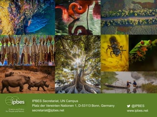 IPBES Secretariat, UN Campus
Platz der Vereinten Nationen 1, D-53113 Bonn, Germany
secretariat@ipbes.net www.ipbes.net
@IPBES
 