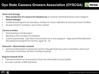 Oyo State Cassava Growers Association (OYSCGA)
www.iita.org | www.cgiar.org | www.acai-project.org
Goals and strategy
• Ma...