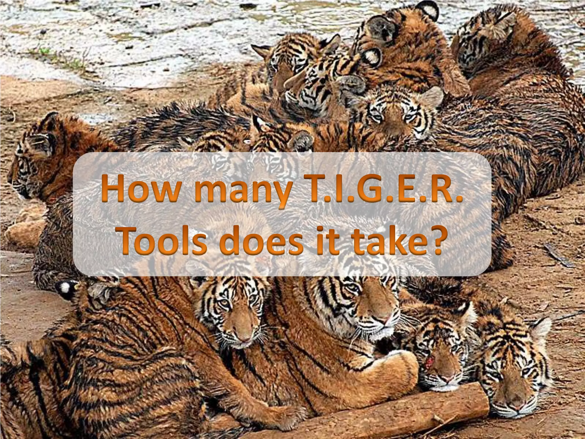 Session 1 Tiger Tools Slide Share