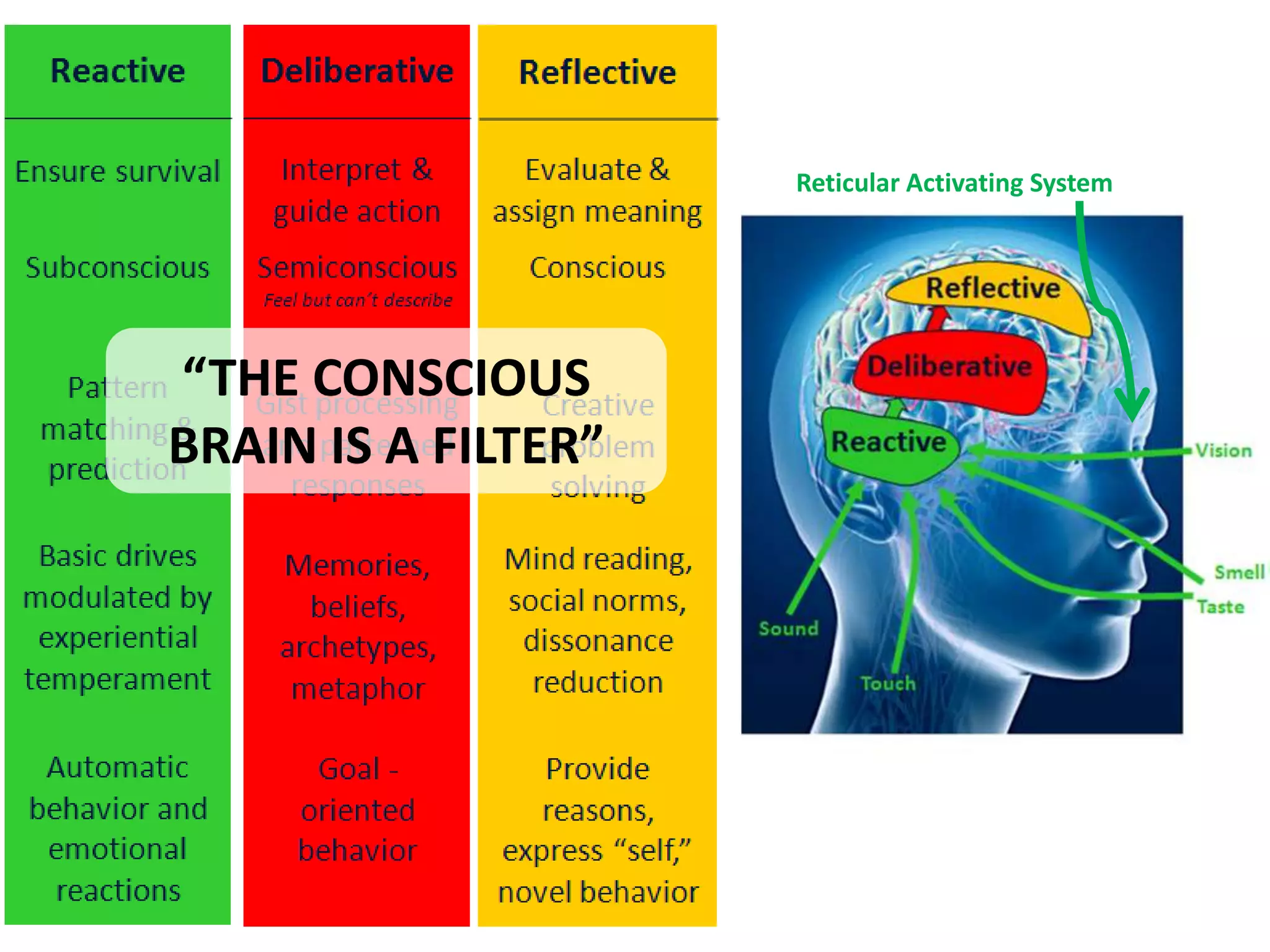 Reticular Activating System




“THE CONSCIOUS
BRAIN IS A FILTER”
 