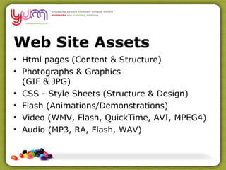 Web Site Assets Html pages (Content & Structure) Photographs & Graphics  (GIF & JPG) CSS - Style Sheets (Structure & Design) Flash (Animations/Demonstrations) Video (WMV, Flash, QuickTime, AVI, MPEG4) Audio (MP3, RA, Flash, WAV) 