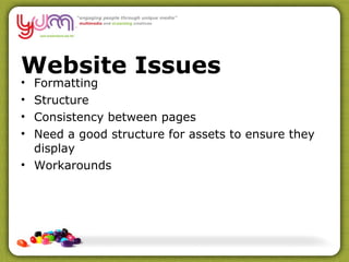 Website Issues Formatting Structure Consistency between pages Need a good structure for assets to ensure they display Workarounds 