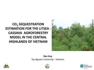 CO2 SEQUESTRATION
ESTIMATION FOR THE LITSEA -
CASSAVA AGROFORESTRY
MODEL IN THE CENTRAL
HIGHLANDS OF VIETNAM
Bao Huy
Tay Nguyen University - Vietnam
 
