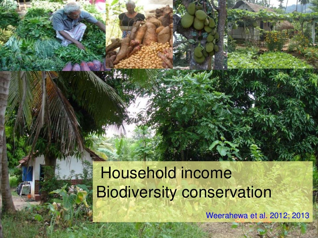 Session 2.2 homegarden agroforestry for sustainability in sri lanka