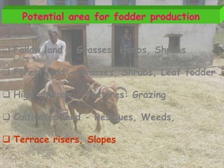 Session 2.3 sustainable fodder production utilization of wastelands | PPTX