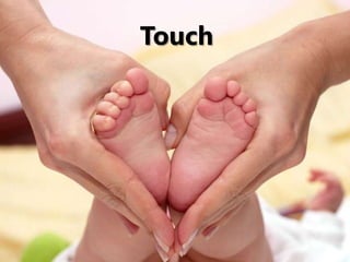 Touch
 