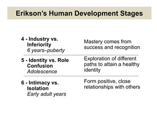 Erikson’s Human Development Stages
4 - Industry vs.
Inferiority
6 years–puberty
5 - Identity vs. Role
Confusion
Adolescence
6 - Intimacy vs.
Isolation
Early adult years
Mastery comes from
success and recognition
Exploration of different
paths to attain a healthy
identity
Form positive, close
relationships with others
 