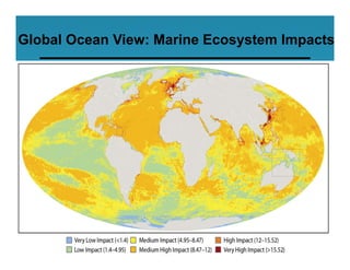 Global Ocean View: Marine Ecosystem Impacts
 