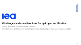 Page 1
Challenges and considerations for hydrogen certification
OECD Webinar, Certification for facilitating international trade of green hydrogen, 31 January 2023
Jose M Bermudez, Energy Technology Analyst
 