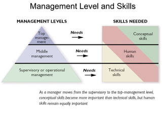 Management Level and Skills
 