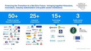Financing the Transition to a Net-Zero Future: Manuela Fulga - WEF | PDF