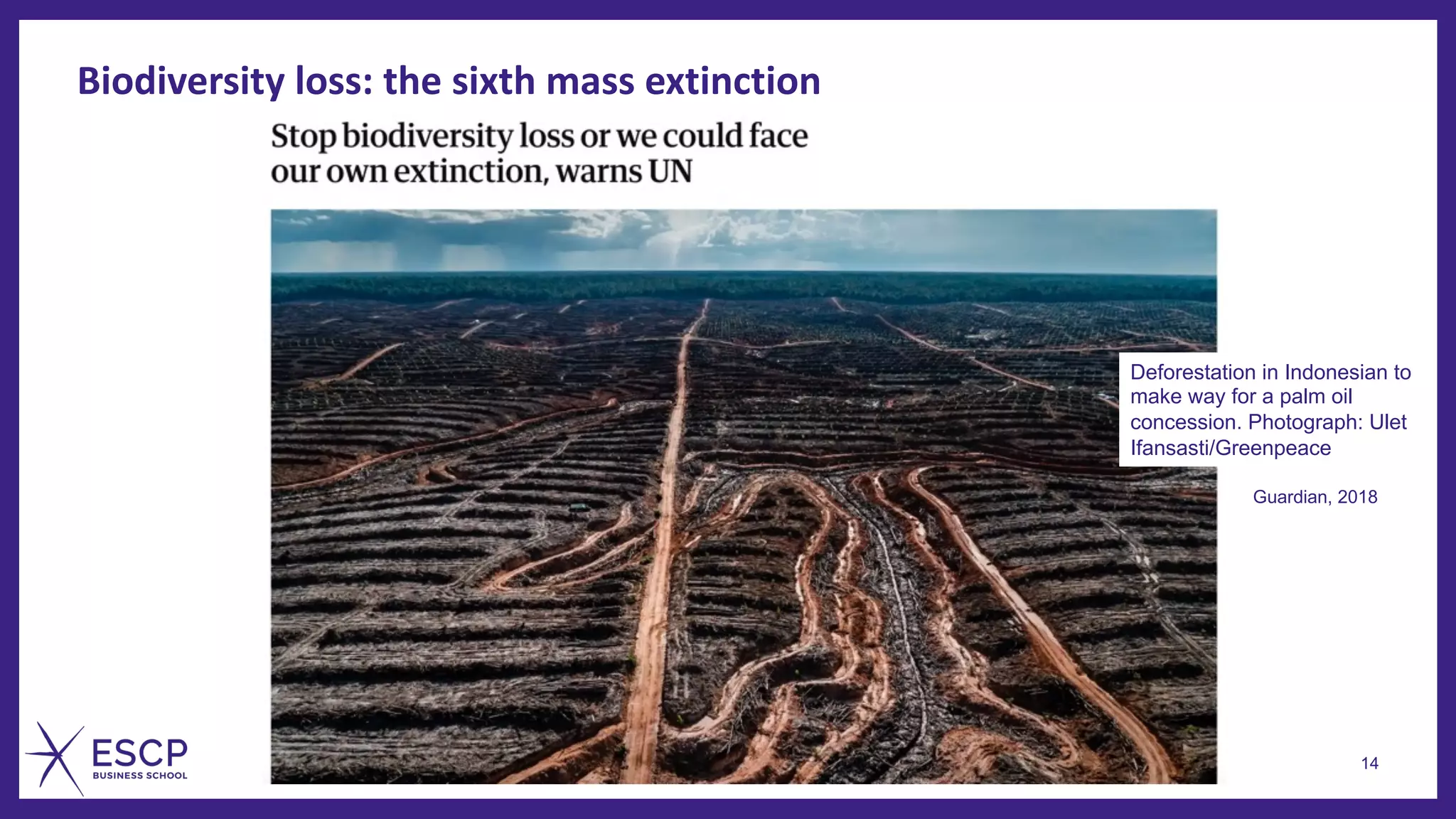 14
Deforestation in Indonesian to
make way for a palm oil
concession. Photograph: Ulet
Ifansasti/Greenpeace
Guardian, 2018
Biodiversity loss: the sixth mass extinction
 