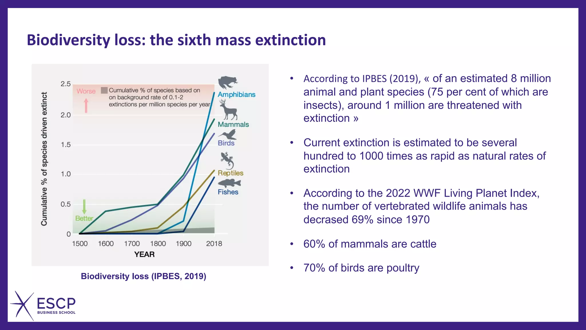 Biodiversity loss: the sixth mass extinction
• According to IPBES (2019), « of an estimated 8 million
animal and plant species (75 per cent of which are
insects), around 1 million are threatened with
extinction »
• Current extinction is estimated to be several
hundred to 1000 times as rapid as natural rates of
extinction
• According to the 2022 WWF Living Planet Index,
the number of vertebrated wildlife animals has
decrased 69% since 1970
• 60% of mammals are cattle
• 70% of birds are poultry
Biodiversity loss (IPBES, 2019)
 