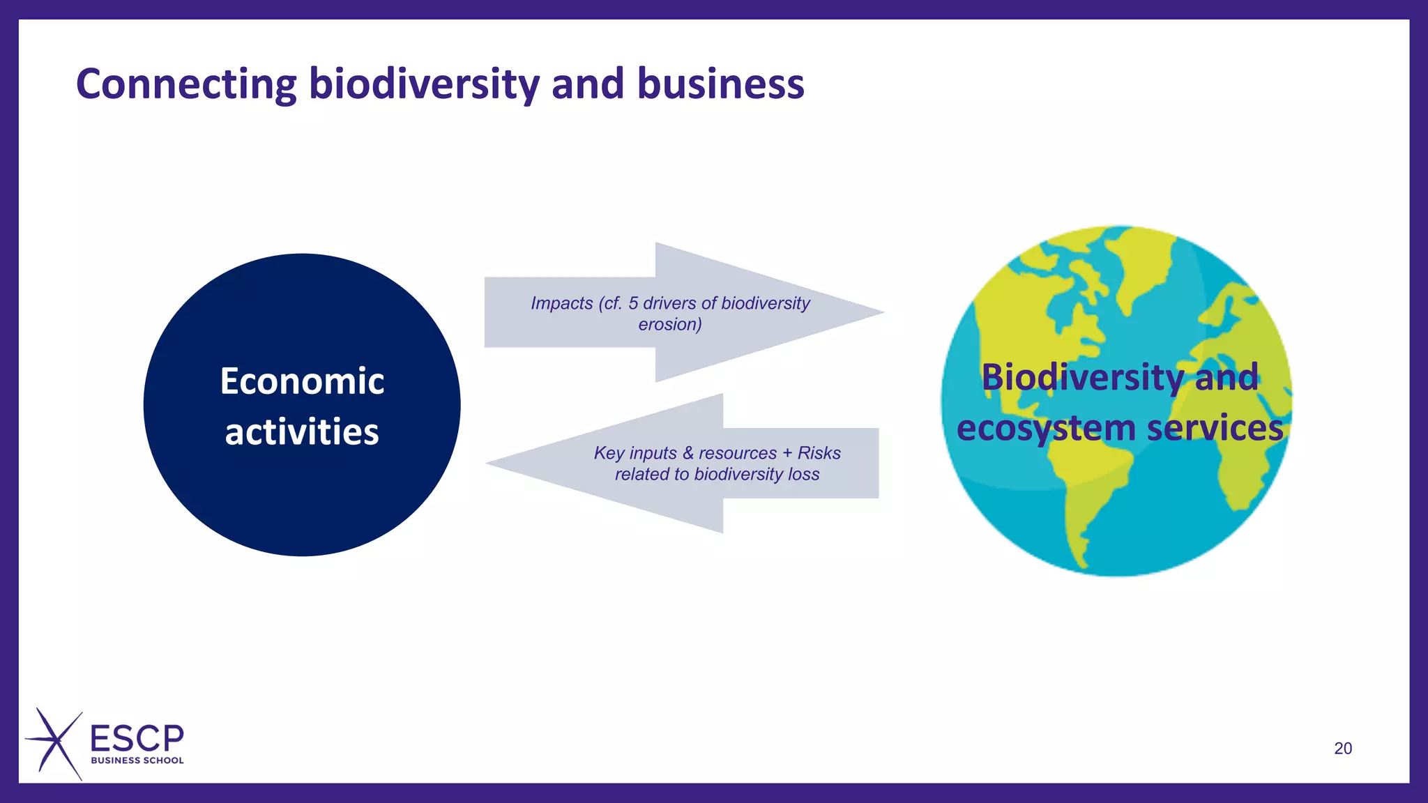 20
Economic
activities
Impacts (cf. 5 drivers of biodiversity
erosion)
Key inputs & resources + Risks
related to biodiversity loss
Biodiversity and
ecosystem services
Connecting biodiversity and business
 
