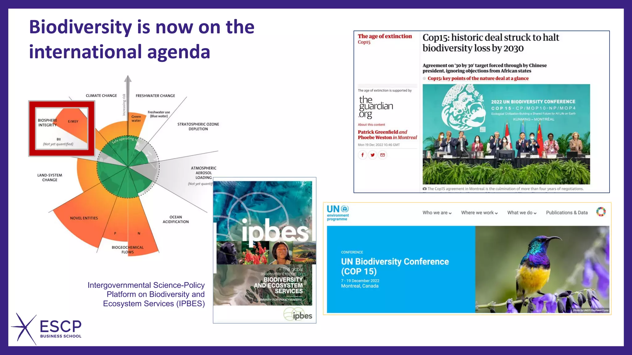 Intergovernmental Science-Policy
Platform on Biodiversity and
Ecosystem Services (IPBES)
Biodiversity is now on the
international agenda
 