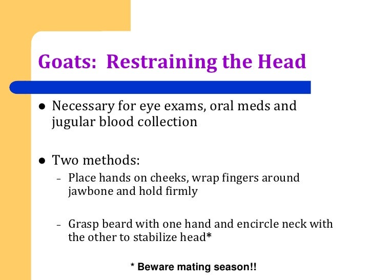 Session 2 Restraint Principles Sheep