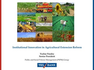 Institutional Innovation in Agricultural Extension Reform
Public and Social Policies Management (PSPM) Group
Tushar Pandey
Senior President
 