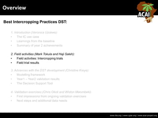 Overview
www.iita.org | www.cgiar.org | www.acai-project.org
Best Intercropping Practices DST:
1. Introduction (Veronica Uzokwe):
• The IC use case
• Learnings from the baseline
• Summary of year 2 achievements
2. Field activities (Mark Tokula and Haji Saleh):
• Field activities: Intercropping trials
• Field trial results
3. Advances with the DST development (Christine Kreye):
• Modelling framework
• Year1 – Year2 validation results
• The Decision Support Tool
4. Validation exercises (Chris Okoli and Wiston Mwombeki):
• First impressions from ongoing validation exercises
• Next steps and additional data needs
 