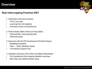 Overview
www.iita.org | www.cgiar.org | www.acai-project.org
Best Intercropping Practices DST:
1. Introduction (Veronica Uzokwe):
• The IC use case
• Learnings from the baseline
• Summary of year 2 achievements
2. Field activities (Mark Tokula and Haji Saleh):
• Field activities: Intercropping trials
• Field trial results
3. Advances with the DST development (Christine Kreye):
• Modelling framework
• Year1 – Year2 validation results
• The Decision Support Tool
4. Validation exercises (Chris Okoli and Wiston Mwombeki):
• First impressions from ongoing validation exercises
• Next steps and additional data needs
 