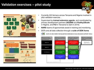 Validation exercises – pilot study
www.iita.org | www.cgiar.org | www.acai-project.org
• Currently 243 farmers across Tanzania and Nigeria involved in
pilot validation exercise…
• Supervised by trained extension agents, and coordinated by
primary development partners (SG2000 and Psaltry/2Scale
in Nigeria, and FCI in Tanzania to start in 2019)
• NARS teams of agronomists assist in training and monitoring.
• DSTs and all data collection through a suite of ODK forms
 