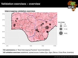 Validation exercises – overview
www.iita.org | www.cgiar.org | www.acai-project.org
153 submissions on “Best Intercropping Practices” recommendations
143 validation exercises established, spread across 5 states (Oyo, Ogun, Benue, Cross River, Anambra)
 