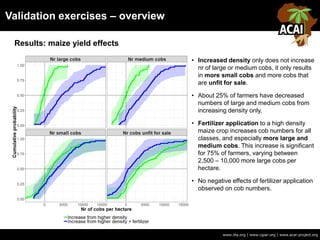 Validation exercises – overview
www.iita.org | www.cgiar.org | www.acai-project.org
Results: maize yield effects
• Increased density only does not increase
nr of large or medium cobs, it only results
in more small cobs and more cobs that
are unfit for sale.
• About 25% of farmers have decreased
numbers of large and medium cobs from
increasing density only.
• Fertilizer application to a high density
maize crop increases cob numbers for all
classes, and especially more large and
medium cobs. This increase is significant
for 75% of farmers, varying between
2,500 – 10,000 more large cobs per
hectare.
• No negative effects of fertilizer application
observed on cob numbers.
 