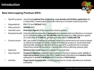 Introduction
www.iita.org | www.cgiar.org | www.acai-project.org
Best Intercropping Practices DSTs:
• Specific purpose: recommend optimal time of planting, crop density and fertilizer application for
a maize (NG) / sweet potato (Zanzibar) intercrop to increase overall productivity
• Requested by: FCI (TZ) and 2SCALE (NG)
• Other partners: SG2000 (NG)
• Intended users: Extension Agents (EAs) supporting cassava growers
• Expected benefit: Intercrop yield increased by 2 tonnes/ha and cassava yield not affected or increased
by 0.5 tonnes/ha realized by 35,100 HHs, with the support of 124 extension agents,
on a total area of 17,550 ha, generating a total value of US$3,948,750
• Current version: V2: uses expert knowledge to estimate current crop performance and revenue based
on default or user-defined prices of roots and intercrop produce to recommend best
planting time, planting density and fertilizer regime for a preferred set of varieties,
maximizing overall net revenue or intercrop yield without affecting cassava yield
• Approach: Decision tree model based on analysis of field trial data
• Input required: Cropping objective (maximize total revenue or maximize cassava yield), prices of
intercrop produce (maize cobs (NG) / sweet potato (Zanzibar)) and cassava roots,
willingness to invest in fertilizer and knowledge of field history
• Interface: Paper-based decision tree, including guidelines for simple calculations to estimate
profitability
 