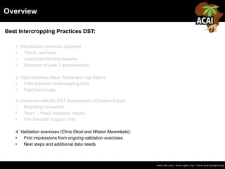 Overview
www.iita.org | www.cgiar.org | www.acai-project.org
Best Intercropping Practices DST:
1. Introduction (Veronica Uzokwe):
• The IC use case
• Learnings from the baseline
• Summary of year 2 achievements
2. Field activities (Mark Tokula and Haji Saleh):
• Field activities: Intercropping trials
• Field trial results
3. Advances with the DST development (Christine Kreye):
• Modelling framework
• Year1 – Year2 validation results
• The Decision Support Tool
4. Validation exercises (Chris Okoli and Wiston Mwombeki):
• First impressions from ongoing validation exercises
• Next steps and additional data needs
 