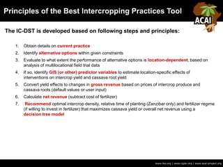 Principles of the Best Intercropping Practices Tool
www.iita.org | www.cgiar.org | www.acai-project.org
1. Obtain details on current practice
2. Identify alternative options within given constraints
3. Evaluate to what extent the performance of alternative options is location-dependent, based on
analysis of multilocational field trial data
4. If so, identify GIS (or other) predictor variables to estimate location-specific effects of
interventions on intercrop yield and cassava root yield
5. Convert yield effects to changes in gross revenue based on prices of intercrop produce and
cassava roots (default values or user input)
6. Calculate net revenue (subtract cost of fertilizer)
7. Recommend optimal intercrop density, relative time of planting (Zanzibar only) and fertilizer regime
(if willing to invest in fertilizer) that maximizes cassava yield or overall net revenue using a
decision tree model
The IC-DST is developed based on following steps and principles:
 