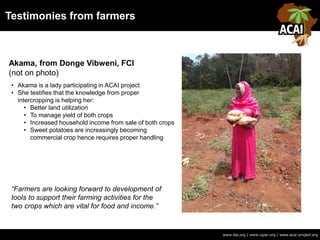 Testimonies from farmers
www.iita.org | www.cgiar.org | www.acai-project.org
Akama, from Donge Vibweni, FCI
(not on photo)
• Akama is a lady participating in ACAI project
• She testifies that the knowledge from proper
intercropping is helping her:
• Better land utilization
• To manage yield of both crops
• Increased household income from sale of both crops
• Sweet potatoes are increasingly becoming
commercial crop hence requires proper handling
“Farmers are looking forward to development of
tools to support their farming activities for the
two crops which are vital for food and income.”
 