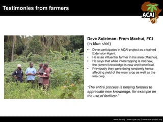 Testimonies from farmers
www.iita.org | www.cgiar.org | www.acai-project.org
Deve Suleiman- From Machui, FCI
(in blue shirt)
• Deve participates in ACAI project as a trained
Extension Agent.
• He is an influential farmer in his area (Machui).
• He says that while intercropping is not new,
the current knowledge is new and beneficial.
• Previously they were doing randomly hence
affecting yield of the main crop as well as the
intercrop.
“The entire process is helping farmers to
appreciate new knowledge, for example on
the use of fertilizer.”
 