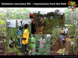 Validation exercises NG – impressions from the field
www.iita.org | www.cgiar.org | www.acai-project.org
 