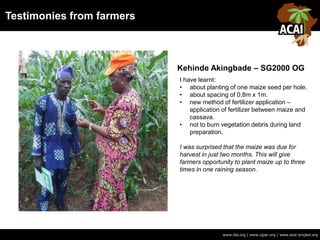 Testimonies from farmers
www.iita.org | www.cgiar.org | www.acai-project.org
Kehinde Akingbade – SG2000 OG
I have learnt:
• about planting of one maize seed per hole.
• about spacing of 0.8m x 1m.
• new method of fertilizer application –
application of fertilizer between maize and
cassava.
• not to burn vegetation debris during land
preparation.
I was surprised that the maize was due for
harvest in just two months. This will give
farmers opportunity to plant maize up to three
times in one raining season.
 