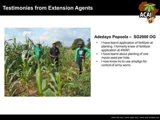 Testimonies from Extension Agents
www.iita.org | www.cgiar.org | www.acai-project.org
• I have learnt application of fertilizer at
planting. I formerly knew of fertilizer
application at 4WAP.
• I have learnt about planting of one
maize seed per hole.
• I now know ho to use ampligo for
control of army worm.
Adedayo Popoola – SG2000 OG
 