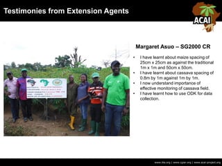Testimonies from Extension Agents
www.iita.org | www.cgiar.org | www.acai-project.org
• I have learnt about maize spacing of
25cm x 25cm as against the traditional
1m x 1m and 50cm x 50cm.
• I have learnt about cassava spacing of
0.8m by 1m against 1m by 1m.
• I now understand importance of
effective monitoring of cassava field.
• I have learnt how to use ODK for data
collection.
Margaret Asuo – SG2000 CR
 