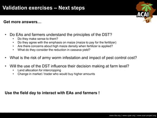 Validation exercises – Next steps
www.iita.org | www.cgiar.org | www.acai-project.org
• Do EAs and farmers understand the principles of the DST?
• Do they make sense to them?
• Do they agree with the emphasis on maize (maize to pay for the fertilizer)
• Are there concerns about high maize density when fertilizer is applied?
• What do they consider the reduction in cassava yield?
• What is the risk of army worm infestation and impact of pest control cost?
• Will the use of the DST influence their decision making at farm level?
• Land allocation for intercropping
• Change in market / trader who would buy higher amounts
Use the field day to interact with EAs and farmers !
Get more answers…
 