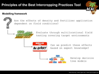 Principles of the Best Intercropping Practices Tool
www.iita.org | www.cgiar.org | www.acai-project.org
Modelling framework
Are the effects of density and fertilizer application
dependent on field conditions?
Evaluate through multilocational field
testing covering target environments
Develop decision
tree models
Can we predict these effects
based on expert knowledge?
 