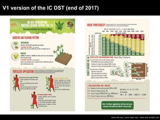 V1 version of the IC DST (end of 2017)
www.iita.org | www.cgiar.org | www.acai-project.org
 