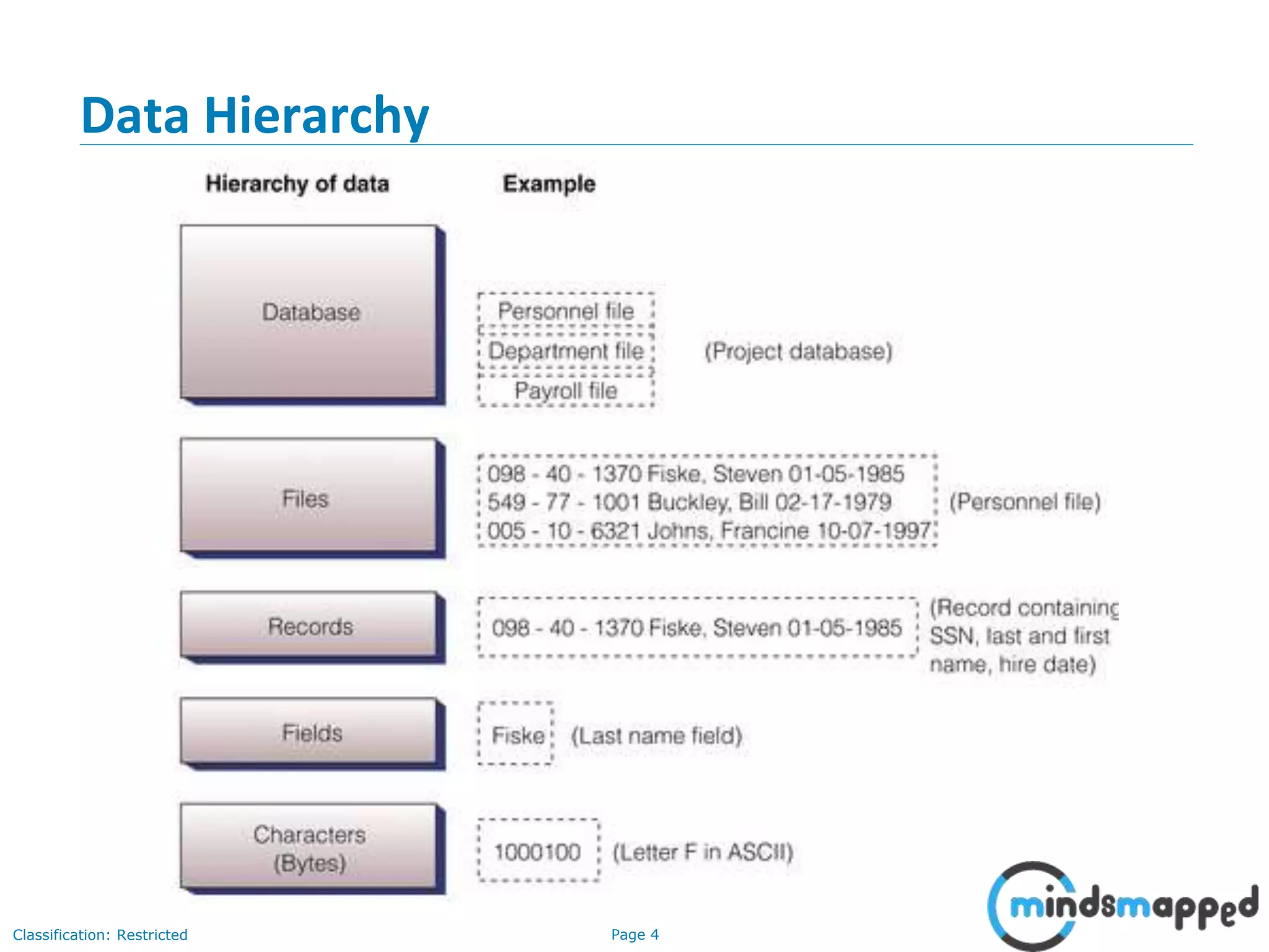 Page 4Classification: Restricted
Data Hierarchy
 