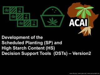 Development of the
Scheduled Planting (SP) and
High Starch Content (HS)
Decision Support Tools (DSTs) – Version2
www.iita.org | www.cgiar.org | www.acai-project.org
 