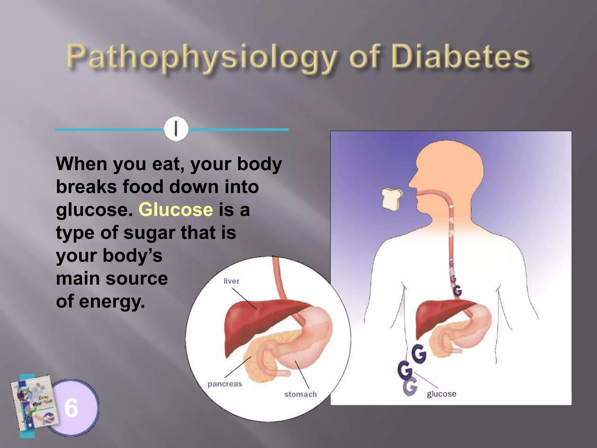 When you eat, your body
breaks food down into
glucose. Glucose is a
type of sugar that is
your body’s
main source
of energy.
6
 