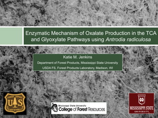 Enzymatic Mechanism of Oxalate Production in the TCA
  and Glyoxylate Pathways using Antrodia radiculosa


                      Katie M. Jenkins
    Department of Forest Products, Mississippi State University
       USDA FS, Forest Products Laboratory, Madison, WI
 