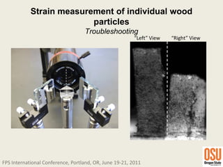 Strain measurement of individual wood
              particles
            Troubleshooting
                         “Left” View   “Right” View
 
