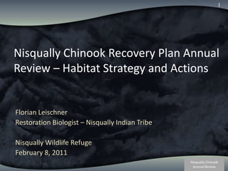 1 Nisqually Chinook Recovery Plan Annual Review – Habitat Strategy and Actions Florian Leischner Restoration Biologist – Nisqually Indian Tribe Nisqually Wildlife Refuge February 8, 2011 